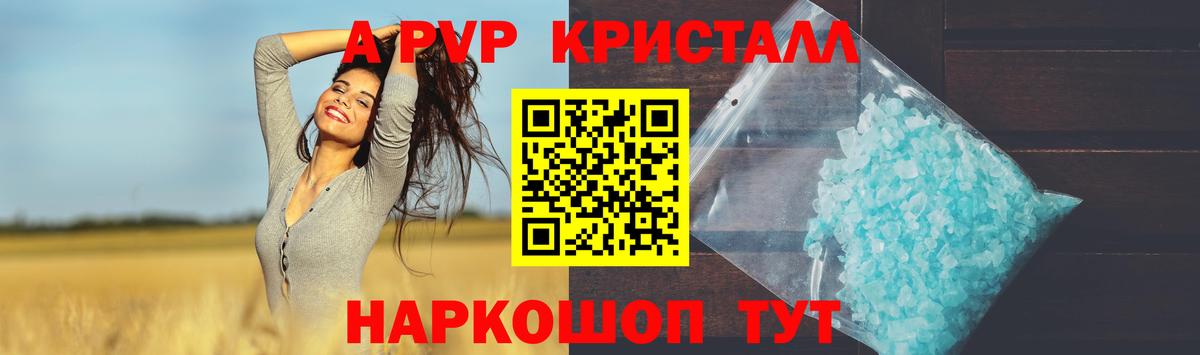 A PVP  Alfa_PVP крисы CK  А ПВП крисы CK  Вход с VPN  Альфа ПВП СК КРИС  Майкоп 