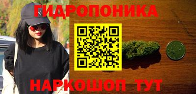 скорость Жуковский