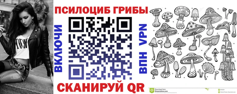 закладки  Майкоп  Галлюциногенные грибы Psilocybe 