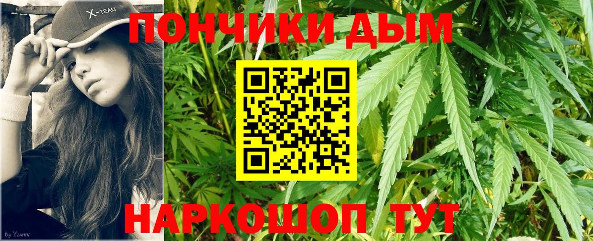 Марихуана конопля Майкоп